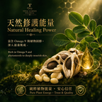 Moringa Scar Care Oil