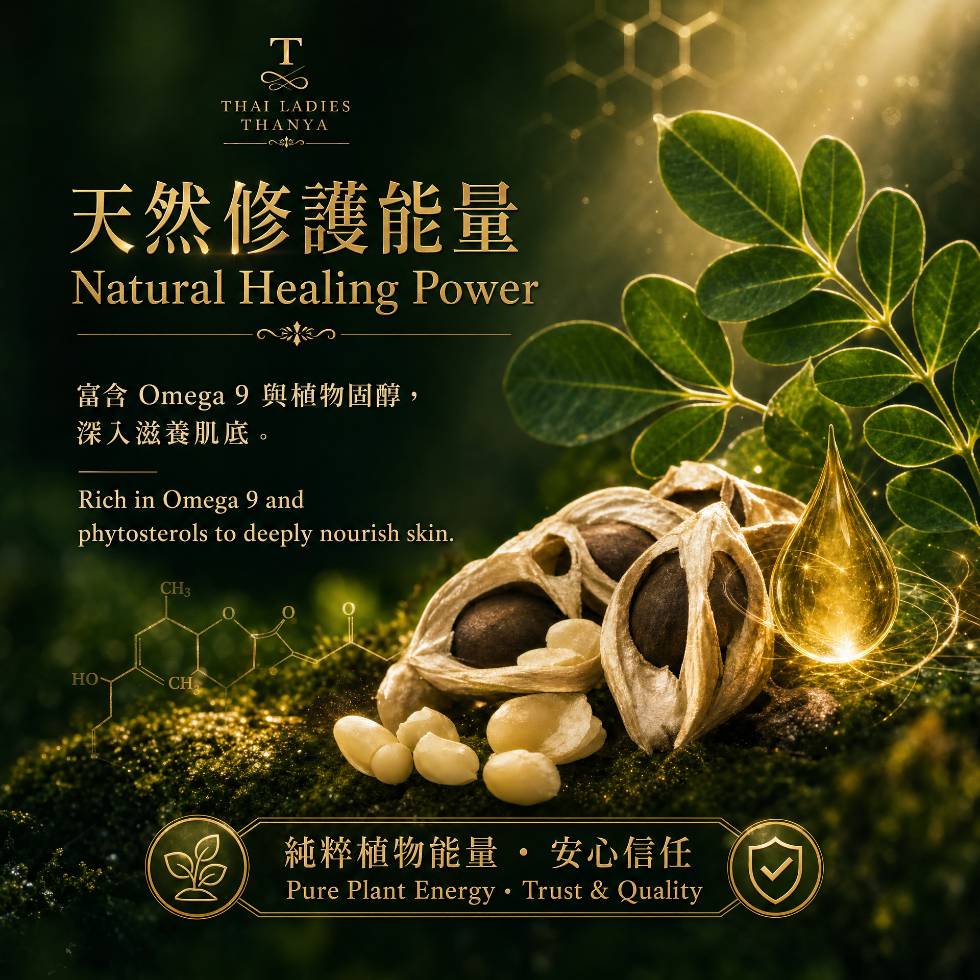 Moringa Scar Care Oil