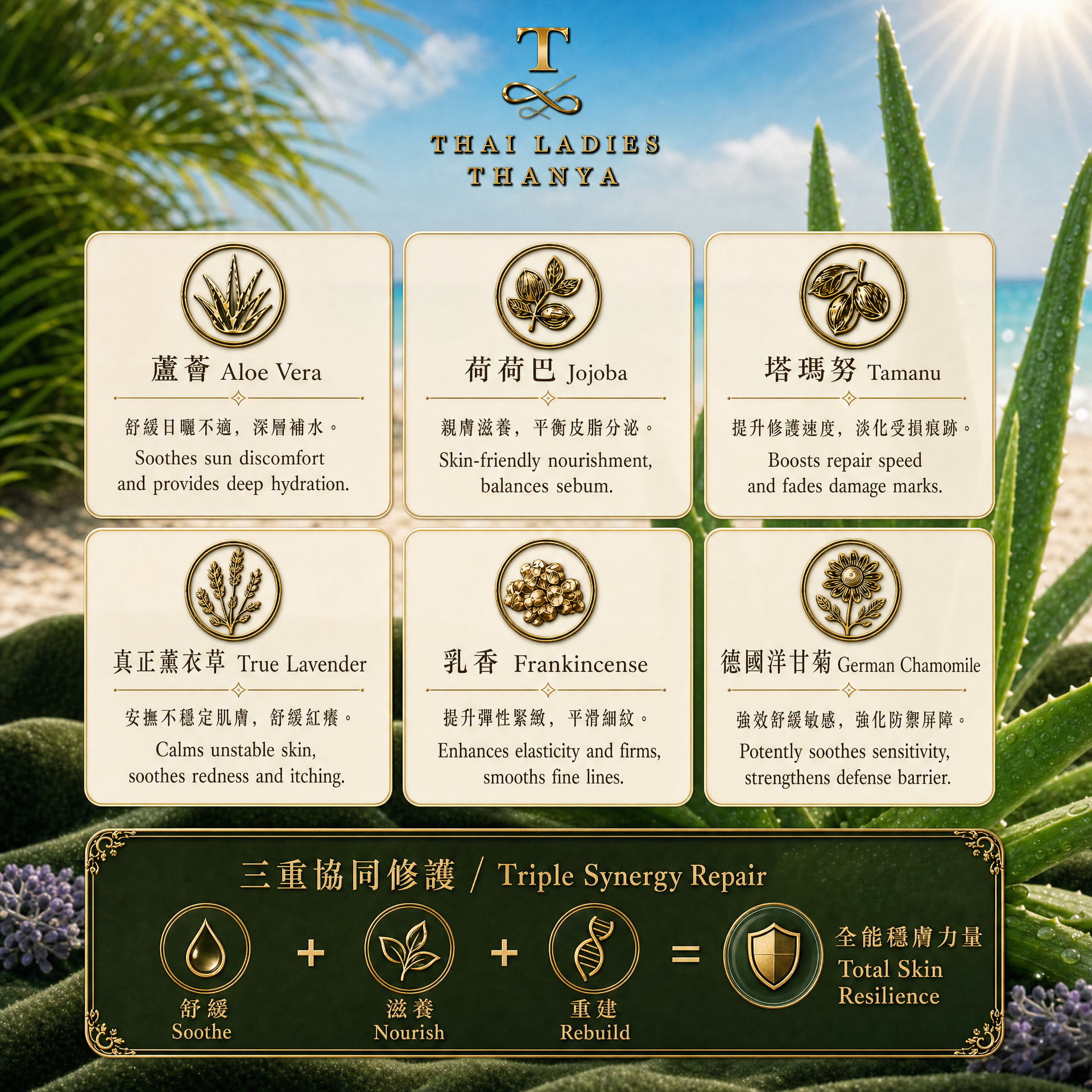 T3 Botanical Multi Restortive Essential Oil